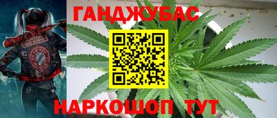 spice Можга
