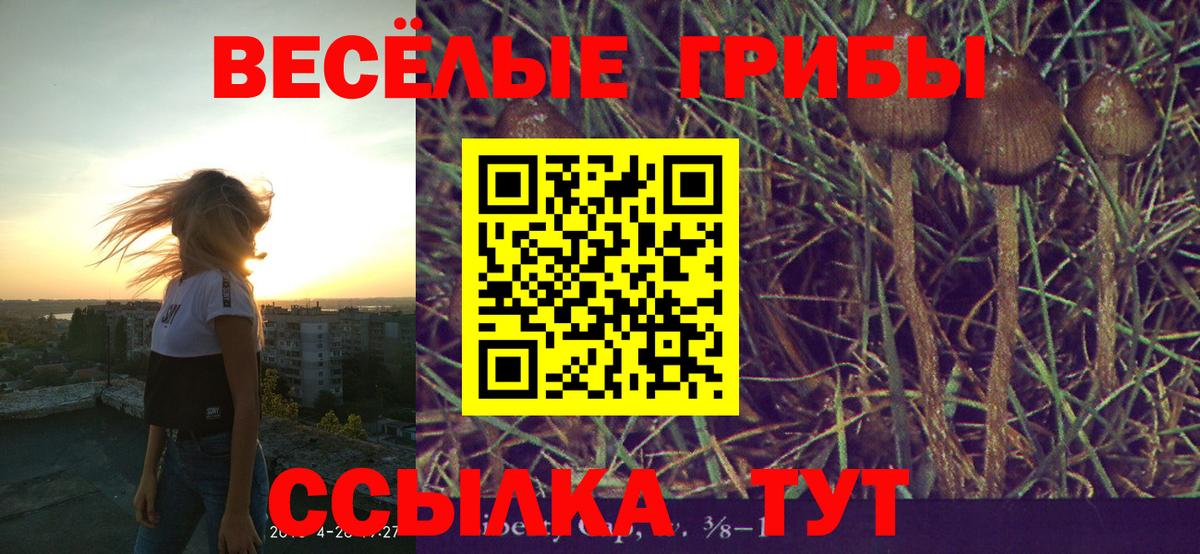Псилоцибиновые грибы MAGIC MUSHROOMS Электросталь
