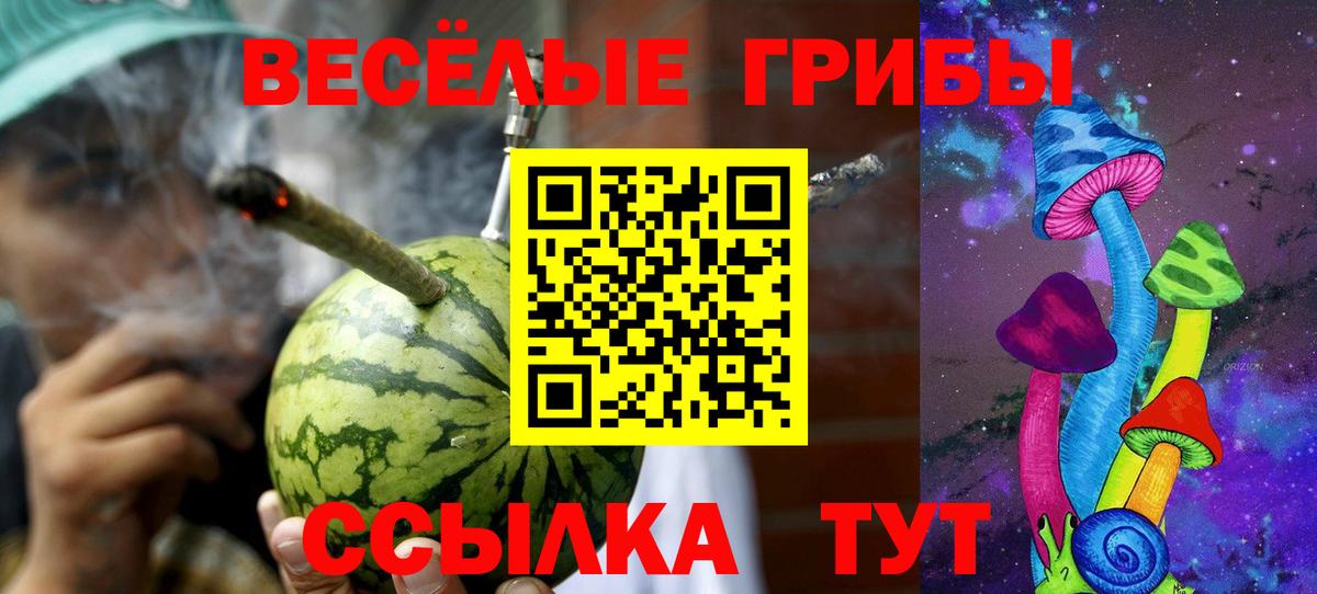 Псилоцибиновые грибы Psilocybine cubensis  Вход с VPN  Электросталь 